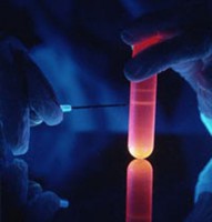 Investigadores Postdoctorales